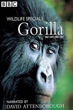 Watch Gorilla Revisited with David Attenborough Projectfreetv