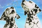 Watch 101 Dalmatians Sing Along Projectfreetv
