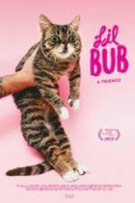 Watch Lil Bub & Friendz Projectfreetv