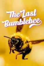 Watch The Last Bumblebee Projectfreetv