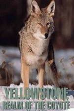 Watch Yellowstone: Realm of the Coyote Projectfreetv