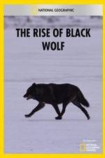 Watch The Rise of Black Wolf Projectfreetv