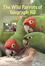 Watch The Wild Parrots of Telegraph Hill Projectfreetv