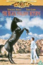 Watch The Black Stallion Returns Projectfreetv