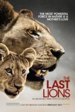 Watch The Last Lions Projectfreetv
