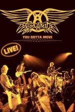 Watch Aerosmith You Gotta Move Projectfreetv