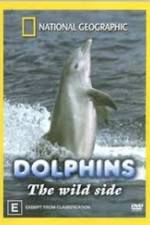 Watch Dolphins: The Wild Side Projectfreetv