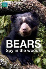 Watch Bears: Spy in the Woods Projectfreetv