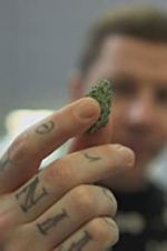 Watch Professor Green: Is It Time to Legalise Weed? Projectfreetv