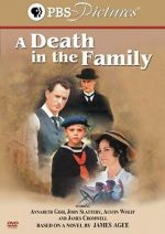 Watch A Death in the Family Projectfreetv