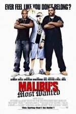 Watch Malibu's Most Wanted Projectfreetv