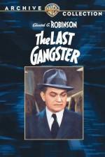 Watch The Last Gangster Projectfreetv