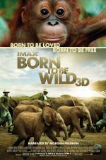 Watch Born to Be Wild Projectfreetv