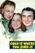 Watch Gold Is Where You Find It Projectfreetv