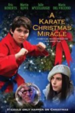 Watch A Karate Christmas Miracle Projectfreetv