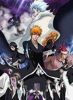 Watch Bleach the Movie 2: The Diamond Dust Rebellion Projectfreetv