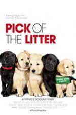 Watch Pick of the Litter Projectfreetv