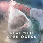 Watch Great White Open Ocean Projectfreetv
