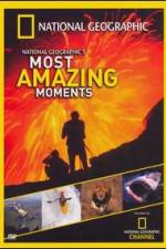 Watch National Geographics Most Amazing Moments Projectfreetv