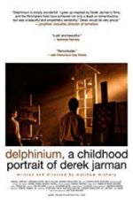 Watch Delphinium: A Childhood Portrait of Derek Jarman Projectfreetv
