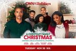 Watch A Chestnut Family Christmas Projectfreetv