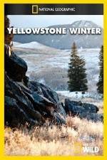 Watch National Geographic Yellowstone Winter Projectfreetv