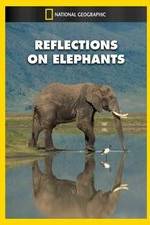 Watch Reflections on Elephants Projectfreetv