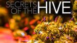 Watch Secrets of the Hive Projectfreetv