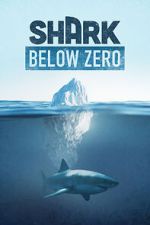 Watch Shark Below Zero Projectfreetv
