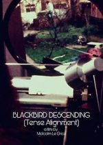 Watch Blackbird Descending Projectfreetv
