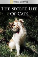 Watch The Secret Life of Cats Projectfreetv