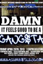 Watch AIW Damn It Feels Good To Be A Gangsta Projectfreetv