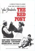 Watch The Red Pony Projectfreetv