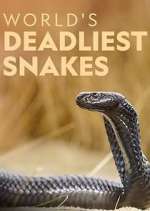 Watch World's Deadliest Snakes Projectfreetv
