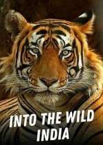 Watch Into the Wild India Projectfreetv