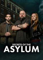 secrets of the asylum tv poster