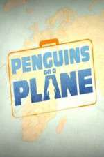 Watch Penguins on a Plane Projectfreetv