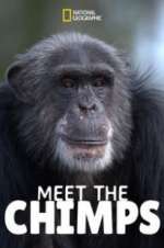 Watch Meet the Chimps Projectfreetv