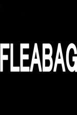 Watch Fleabag Projectfreetv