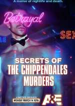 secrets of the chippendales murders tv poster
