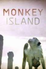 Watch Monkey Island Projectfreetv