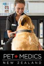 Watch Pet Medics Projectfreetv