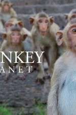 Watch Monkey Planet Projectfreetv