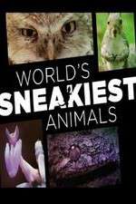 Watch World's Sneakiest Animals Projectfreetv