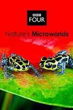 Watch Natures Microworlds Projectfreetv