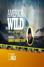 Watch Projectfreetv America the Wild Online