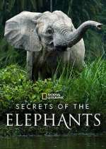 secrets of the elephants tv poster