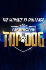 Watch America\'s Top Dog Projectfreetv