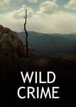 wild crime tv poster