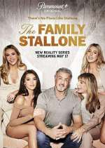 the family stallone tv poster